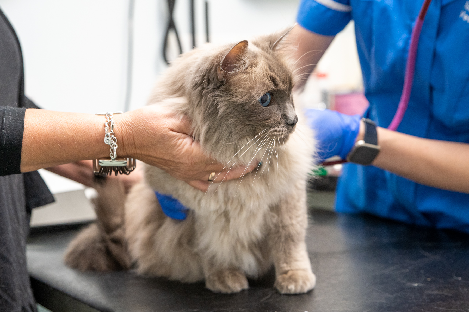 Tay Valley Vets (Web) 086