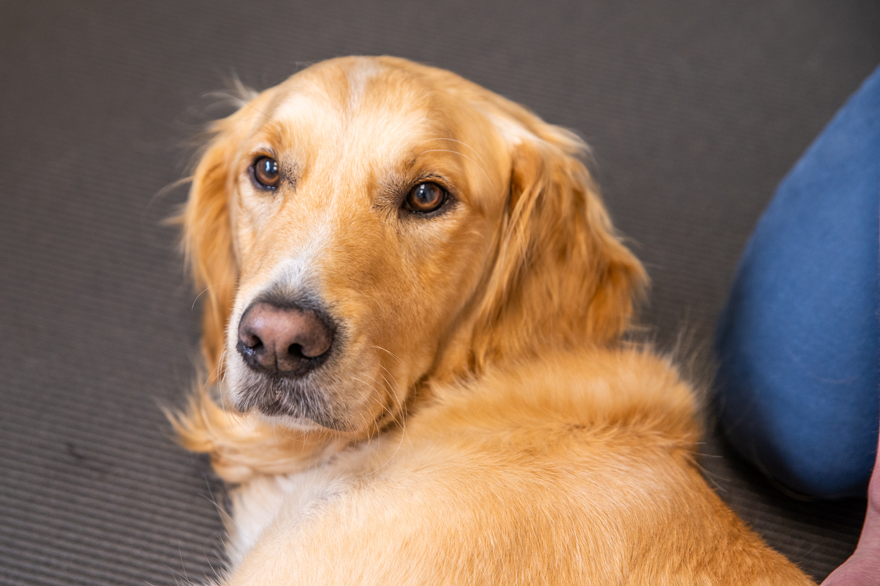 Tay Valley Vets (Web) 103