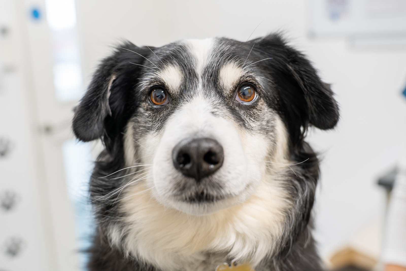 Uplands Way (Web) 086